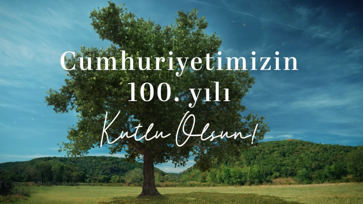 AKKÖK HOLDİNG TOHUM