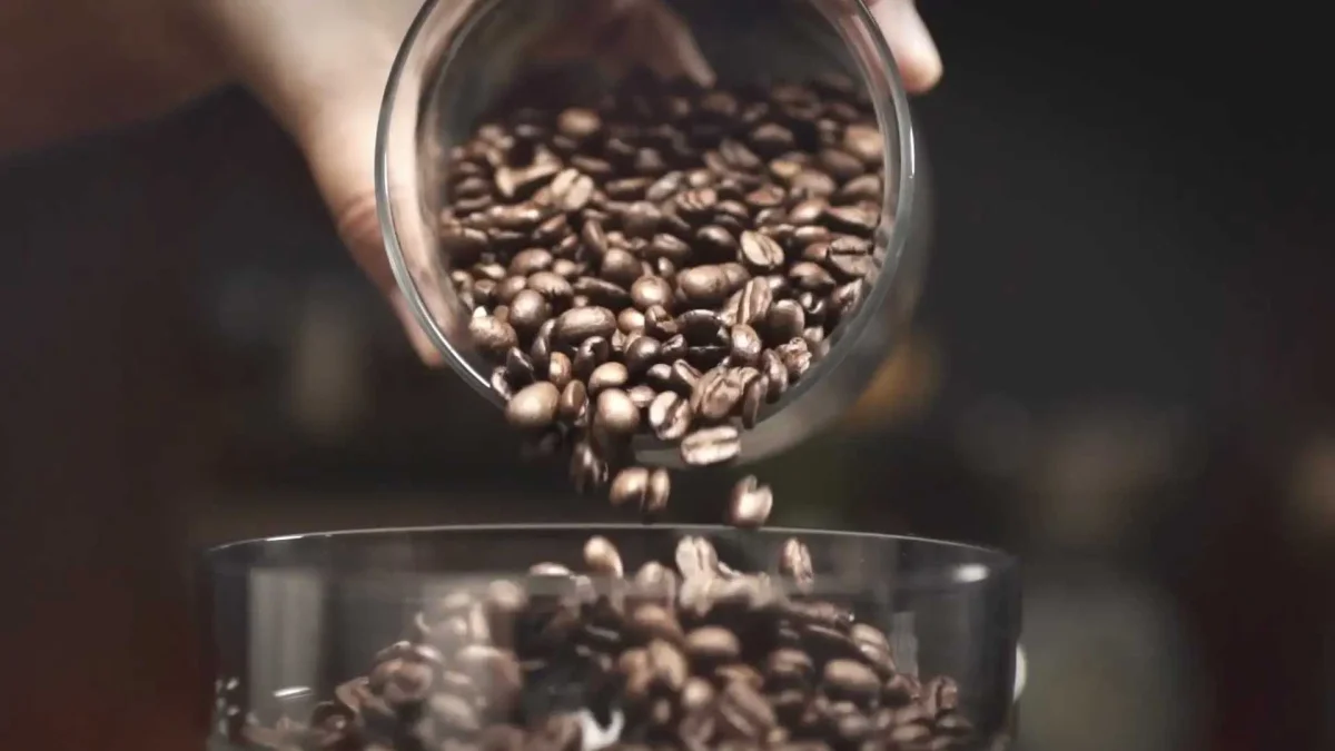 Pınar Barista